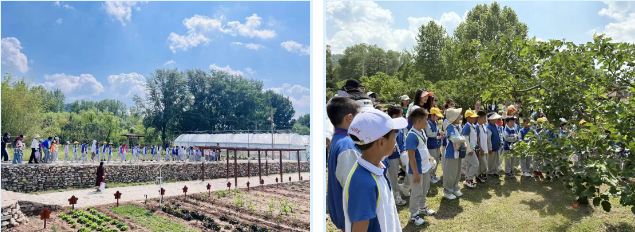 探秘山楂树下的生态课堂 —— 育秀中学小学部2024级6班班本课程(实践篇)