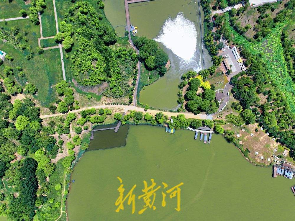 济西湿地盛夏好风光