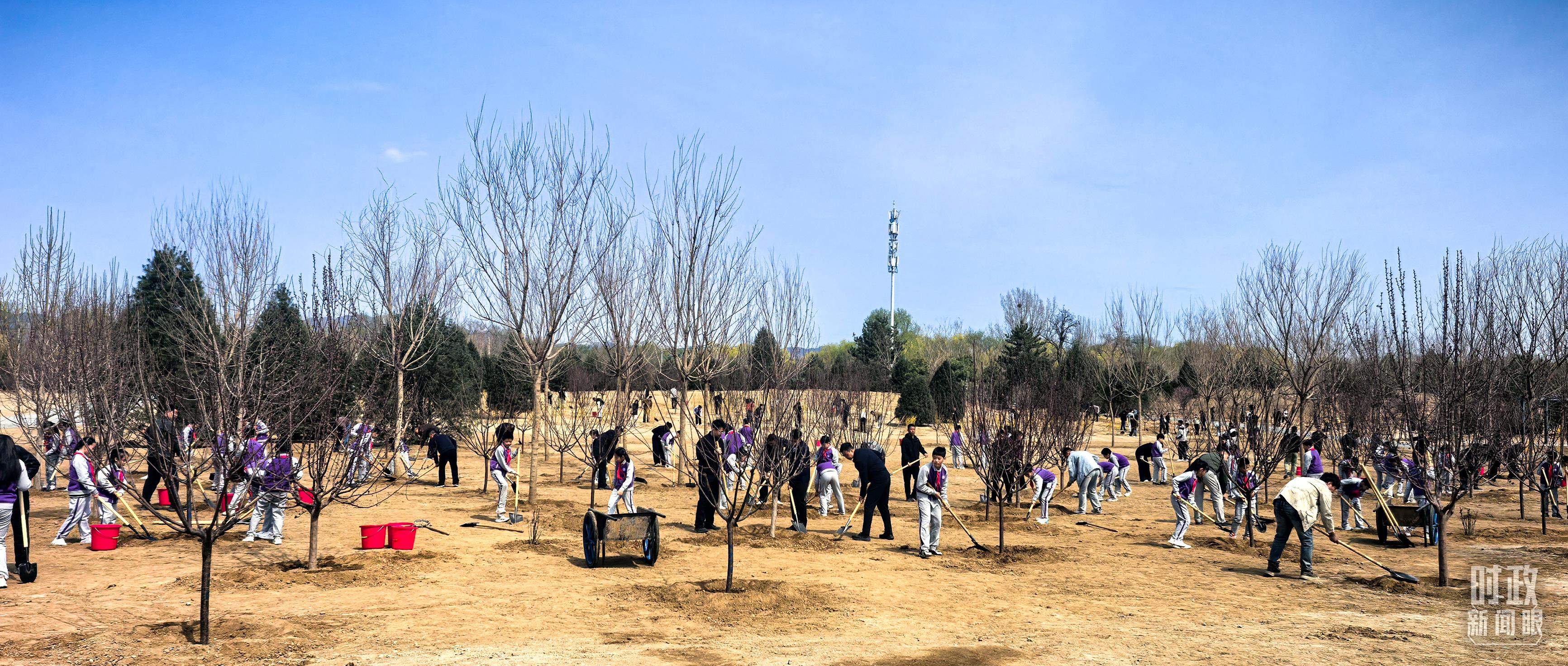 时政新闻眼丨在首都义务植树活动现场，习近平强调这件利国利民的大事