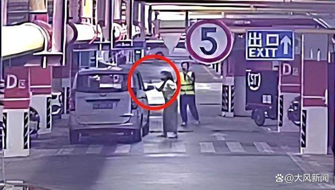 女子因狗窜入车底受伤持砖砸车砸人 边砸边喊“还我狗命”