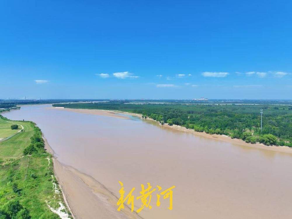 一年四季 泉在济南丨邂逅“泉城蓝”，黄河岸边绿意映蓝天
