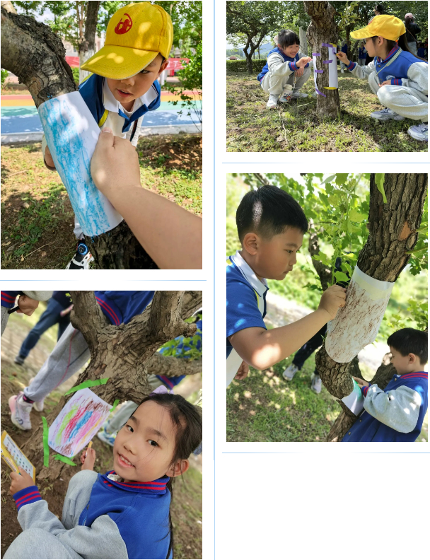 探秘山楂树下的生态课堂 —— 育秀中学小学部2024级6班班本课程(实践篇)