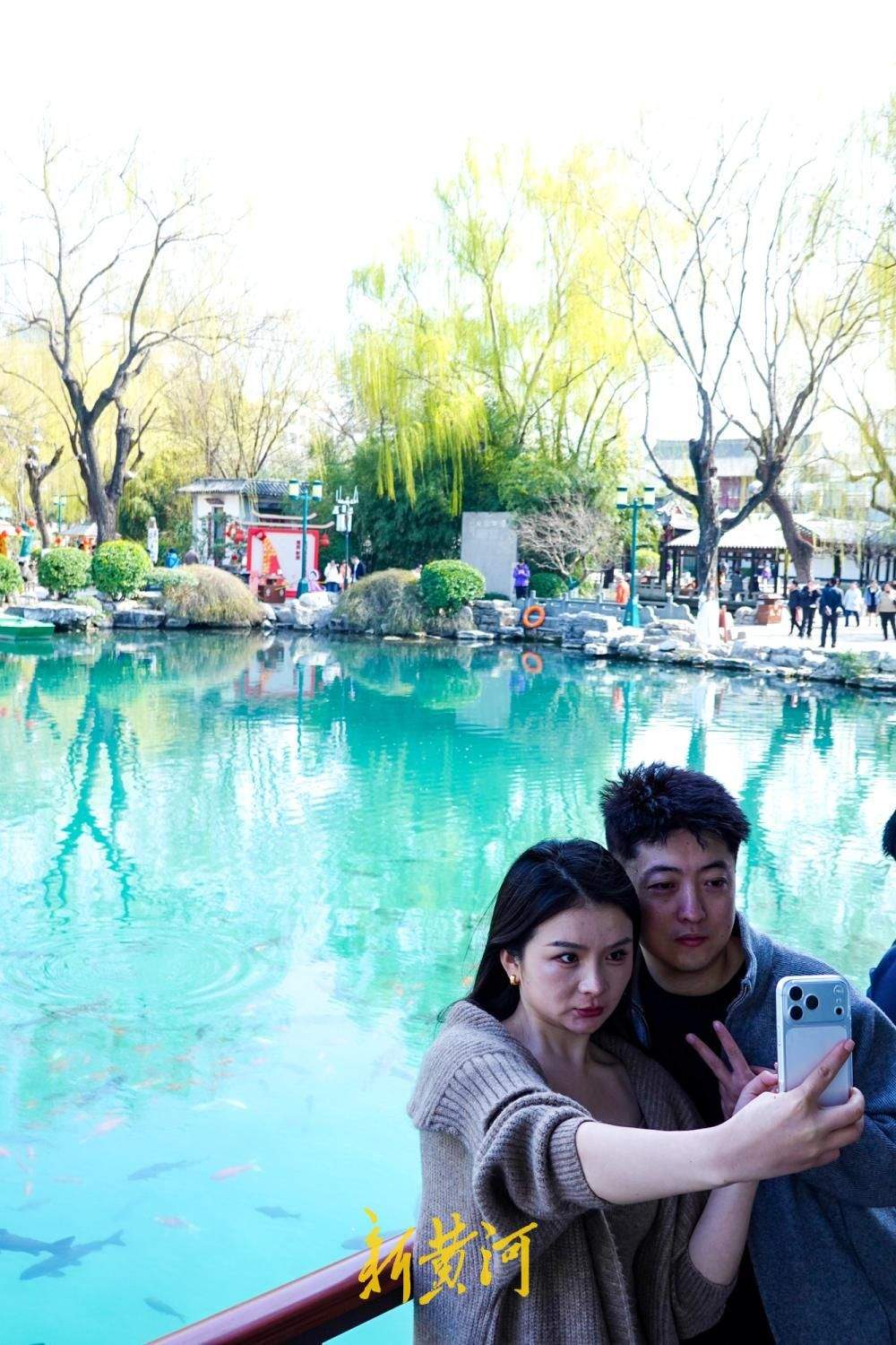 气温回升至12.9℃ 济南春柳摇曳泉更幽