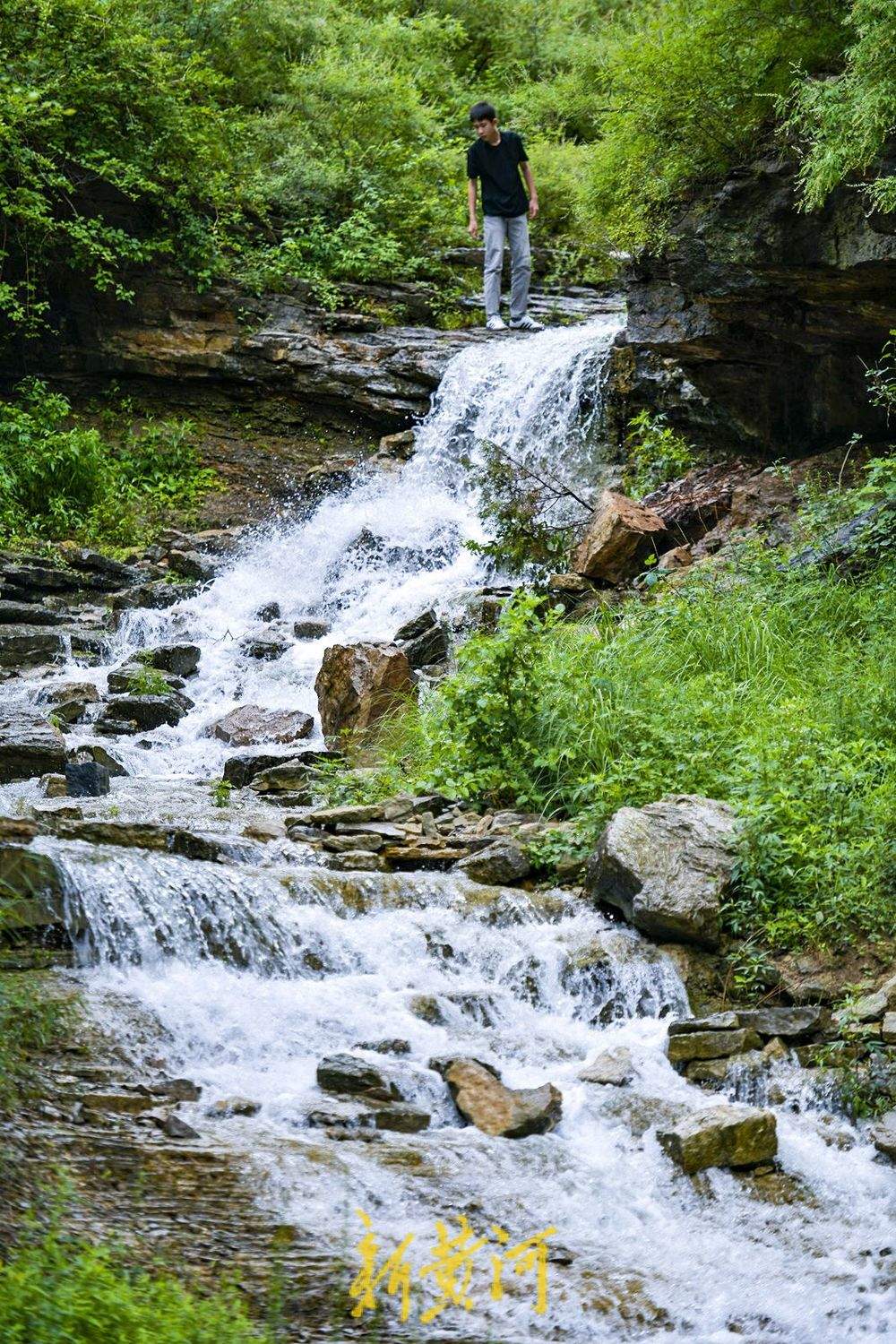 一年四季 泉在济南丨石崖峭壁汇聚山泉 龙洞风景区再现夏日限定美景