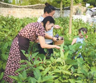 特色餐饮，不只满足舌尖（大数据观察·暑期消费）