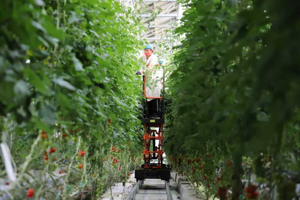 经济大省调研行 