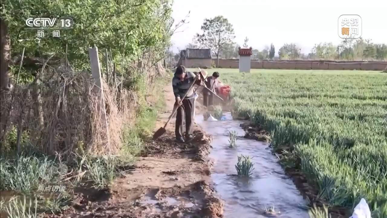 从抗旱到抢收 解读粮食增产背后的“密码”