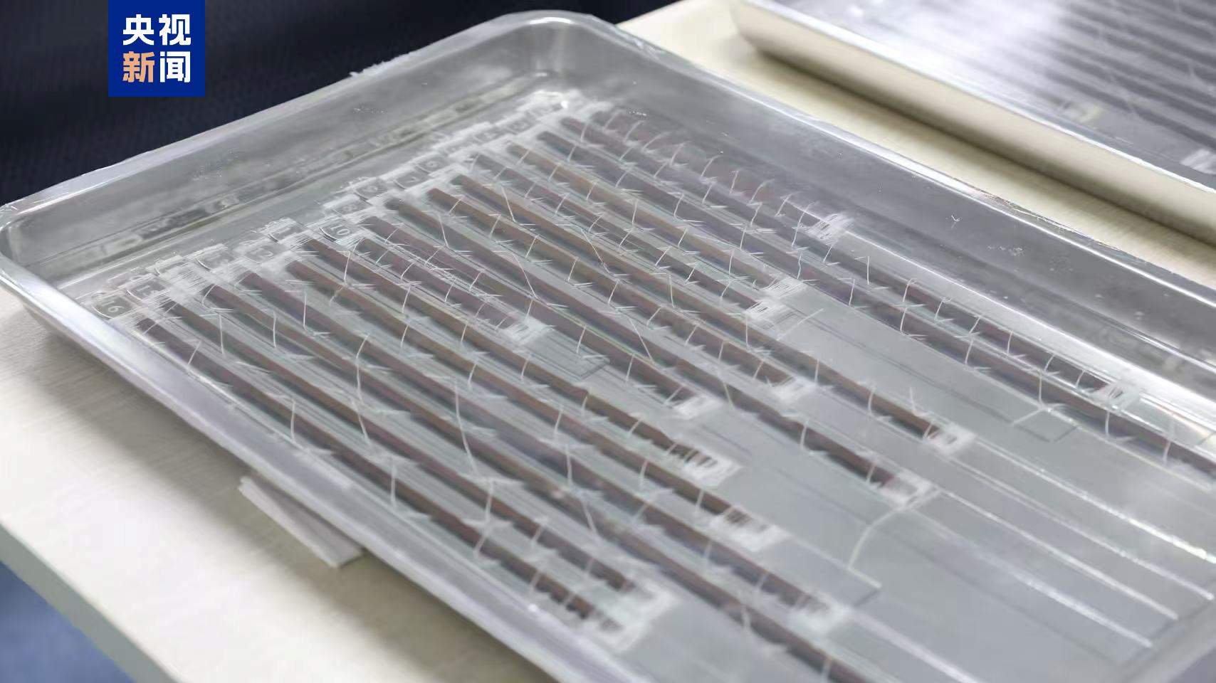 发现《楚辞》佚篇！“安大简”最新整理研究成果发布