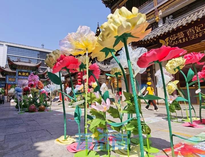 “泉”在济南过五一｜迎接五一，百年大观园打造“花漾街区”