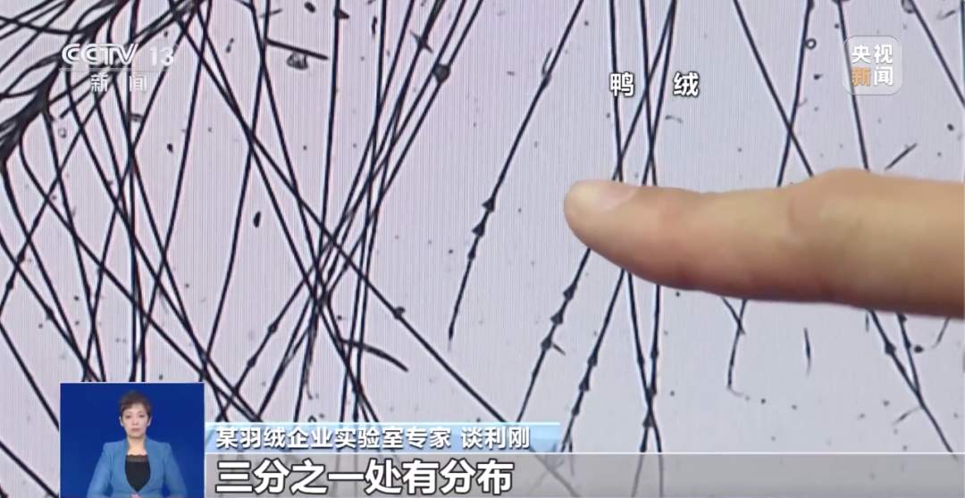 300元到底能不能买一件真羽绒服？