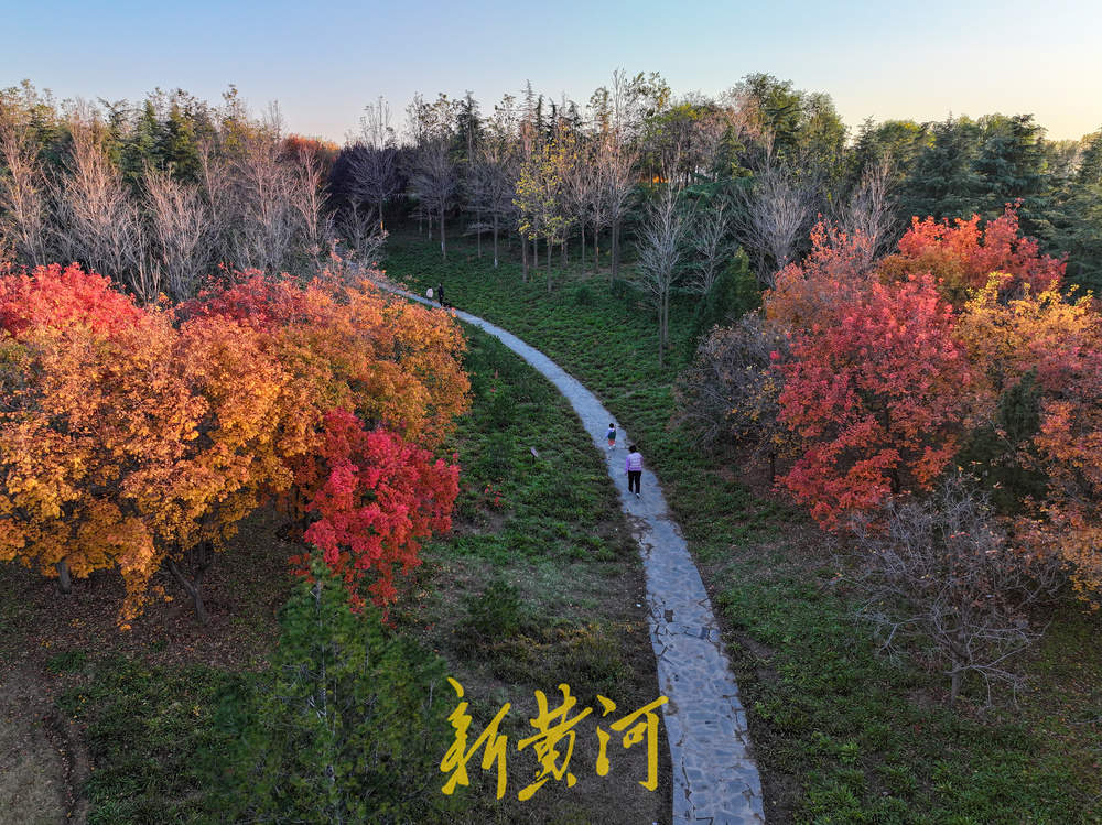 五彩斑斓入画来！卧牛山秋日氛围感拉满