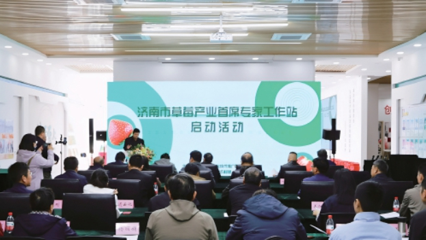 年产量10余万吨、产值超过20亿元 济南为草莓专门建了个工作站