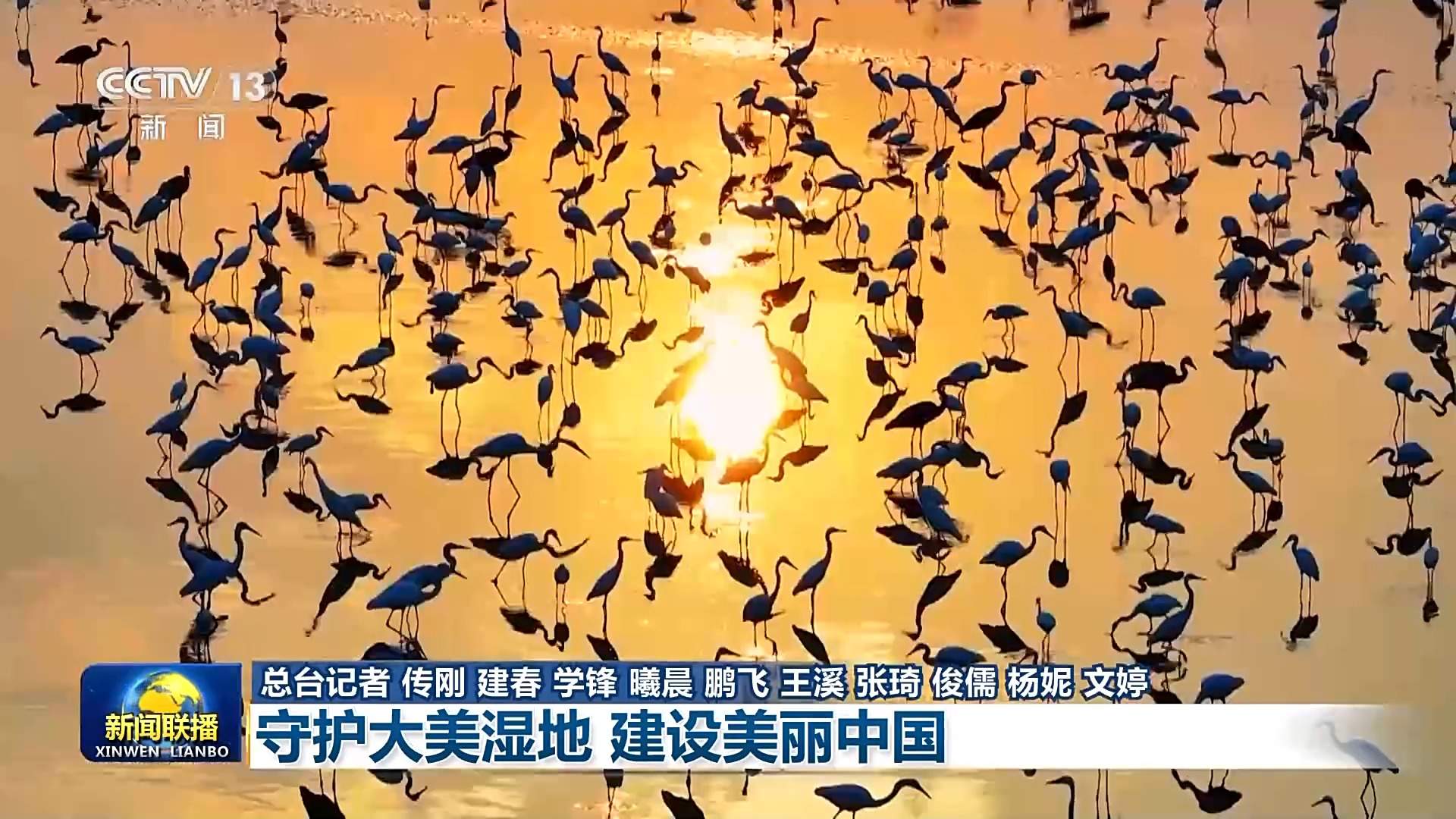 新思想引领新征程丨守护大美湿地 建设美丽中国