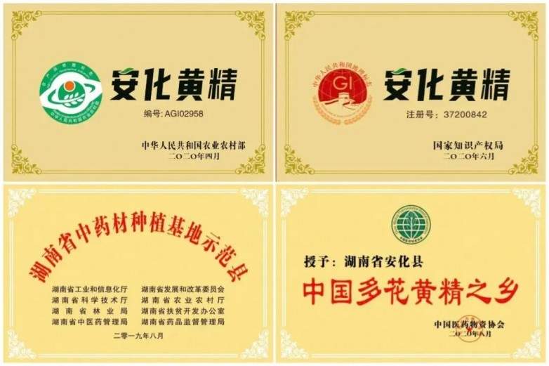 ​你知道安化黄精有哪些产品吗？——安化黄精：冰碛岩上的仙草