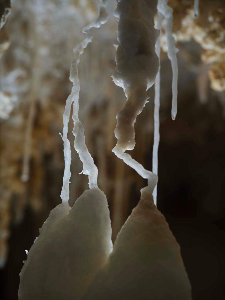 贵州遵义发现4.8亿年“地下水晶宫”