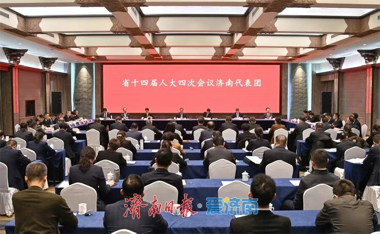 济南代表团举行全体会议 审议省政府工作报告 刘强范华平王桂英于海田韩金峰出席