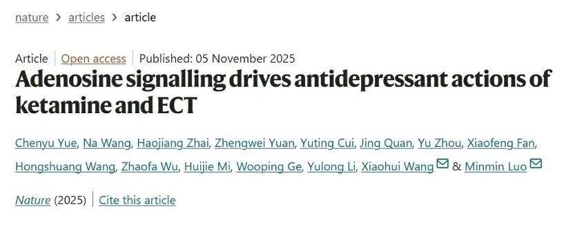 事关抑郁症治疗,重大发现!