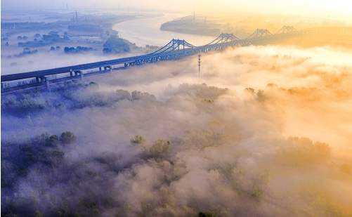 晨雾漫卷时 泉城入画来
