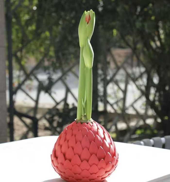 济南2026年宵花市拉开开幕,将持续至3月10日