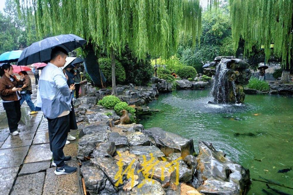 趵突泉水位再创新高、“月牙飞瀑”火出圈，游客雨中感受泉水魅力