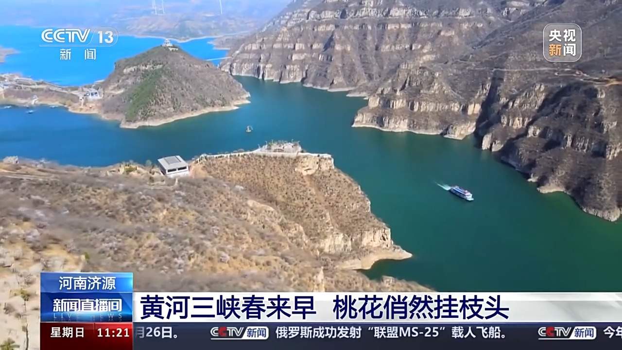 春暖花开 赏花经济为经济发展“增”色“添”香