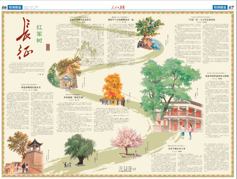 这些“红军树”，见证长征精神！