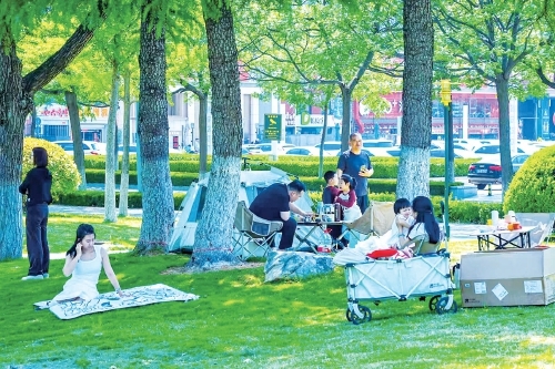 奥体大草坪成休闲新热门