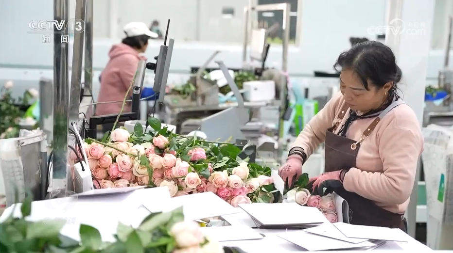 焦点访谈｜“幸福产业”书写乡村振兴“花样”答卷