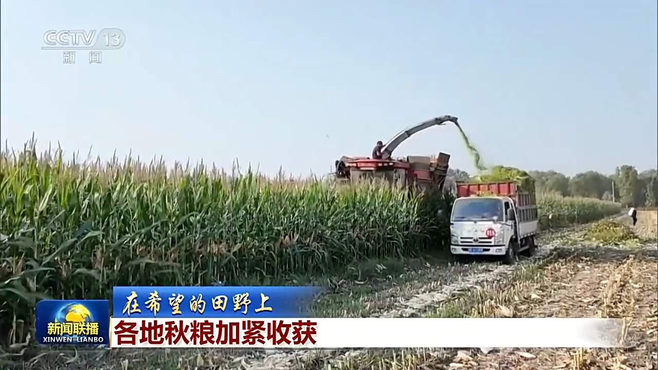 全国秋粮收获已过四成 各地保障颗粒归仓