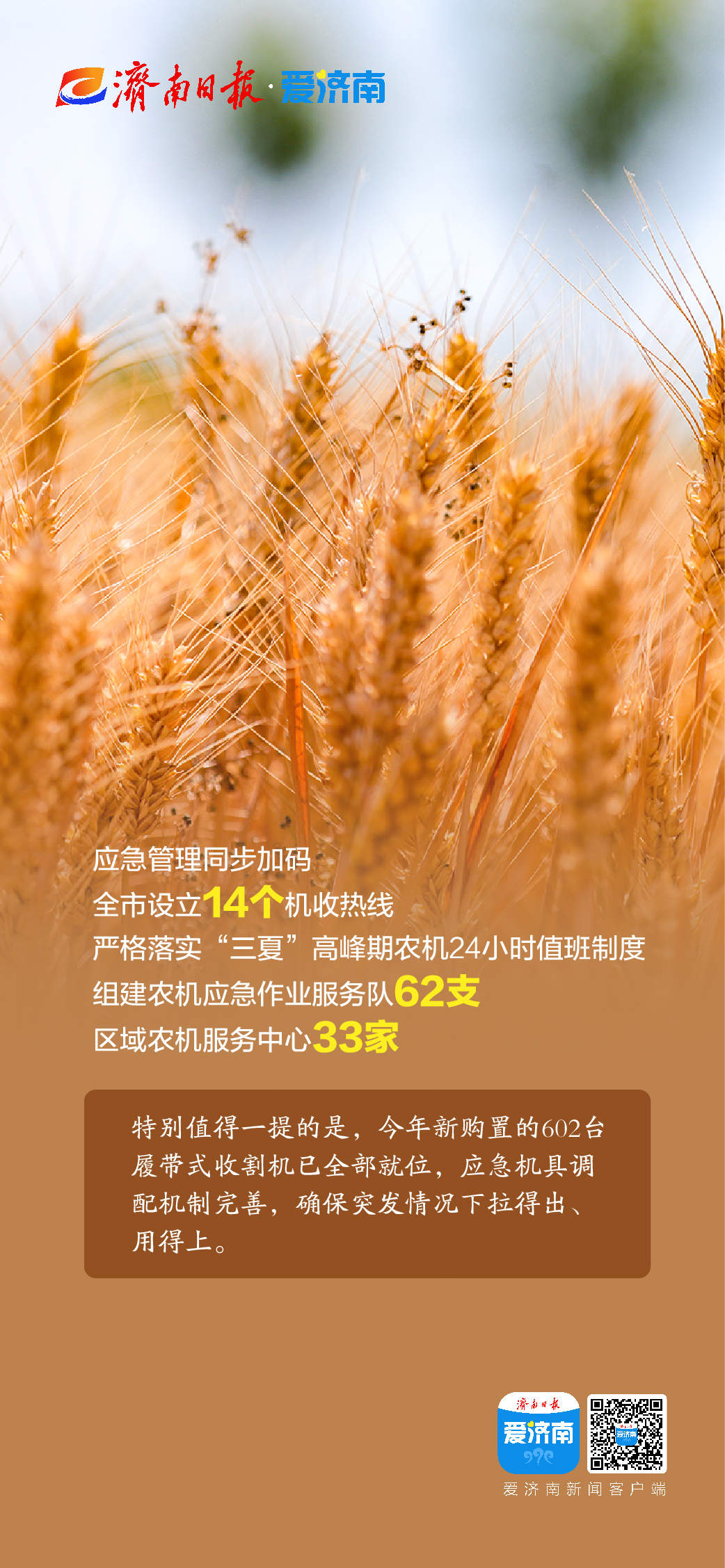 343万亩小麦开收，济南“三夏”生产有序开启