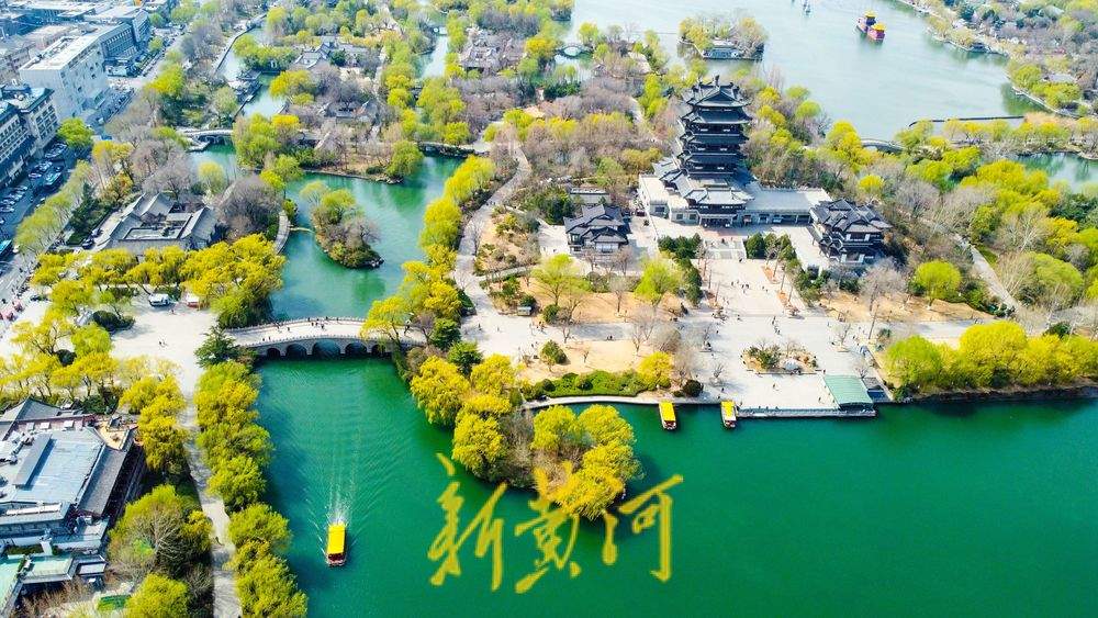 垂柳泛绿与碧水相伴，大明湖春色逐渐浓郁