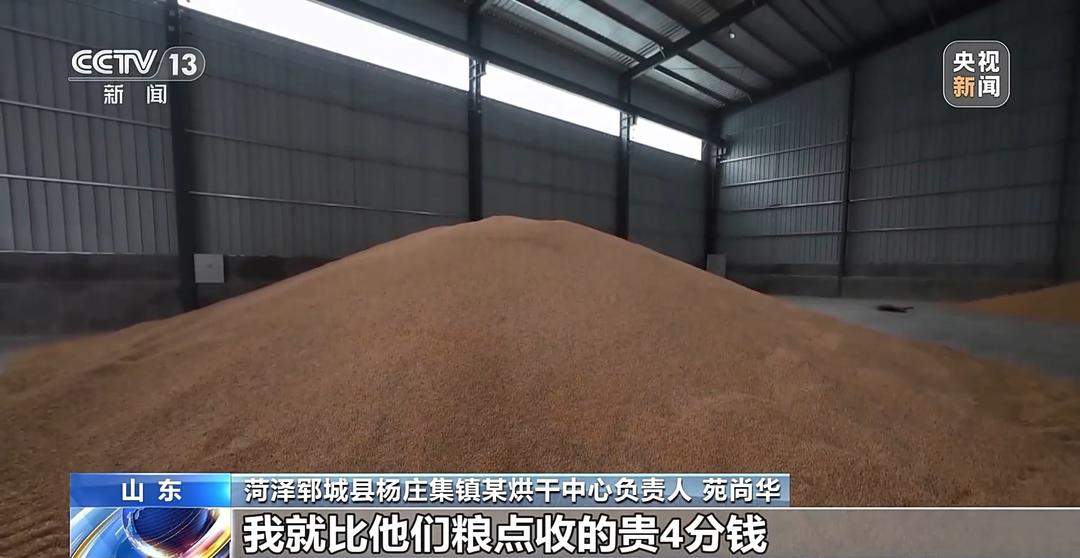 山东秋粮保卫战，挖沟排涝、笼子晾粮、保险赔款，一个都不能少