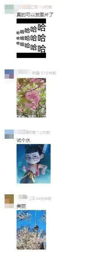 微信官宣新功能!网友:太方便了