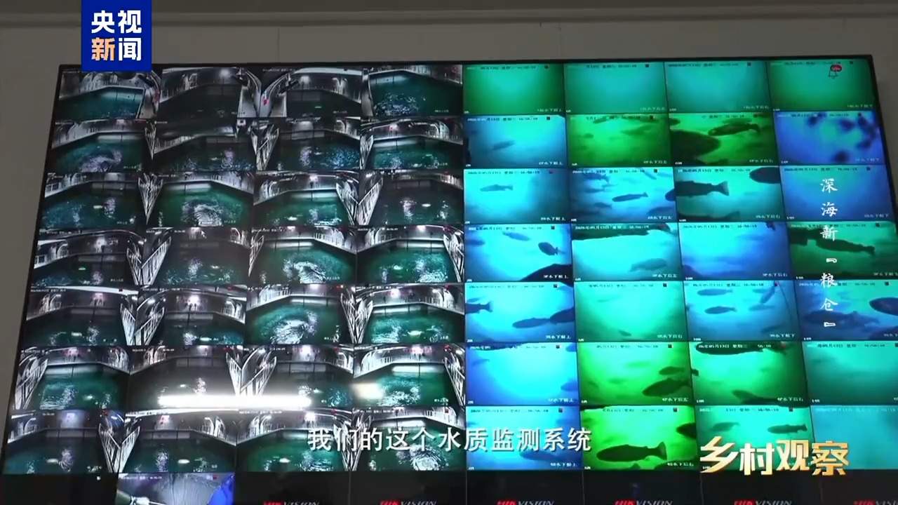 海上“全屋智能”！探访全球首艘三文鱼养殖工船