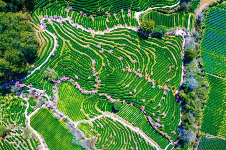 好评中国丨何以中国，“福”字满天下