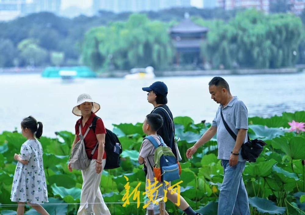一年四季 泉在济南｜热浪退去凉意至 济南大明湖畔赏初秋荷韵