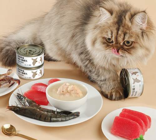 2026年幼猫罐头适口性研究报告：基于全网消费者好评数据综合分析推荐