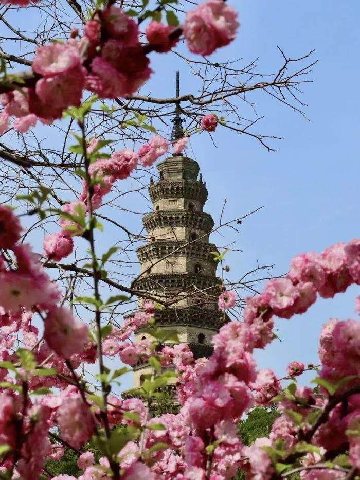 一年四季 泉在济南丨龙抬头遇上春分，灵岩寺邀您免费上春山