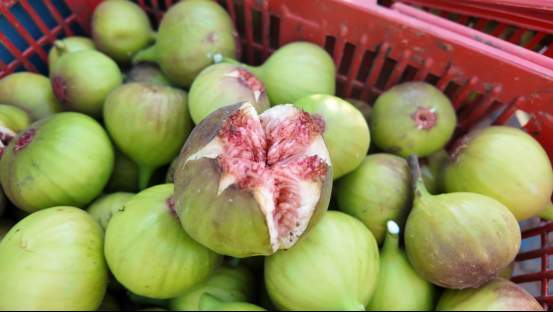 融媒·见证丨曾经的工业明星村，唱起农业“致富经”——金庄村的“甜蜜转型”