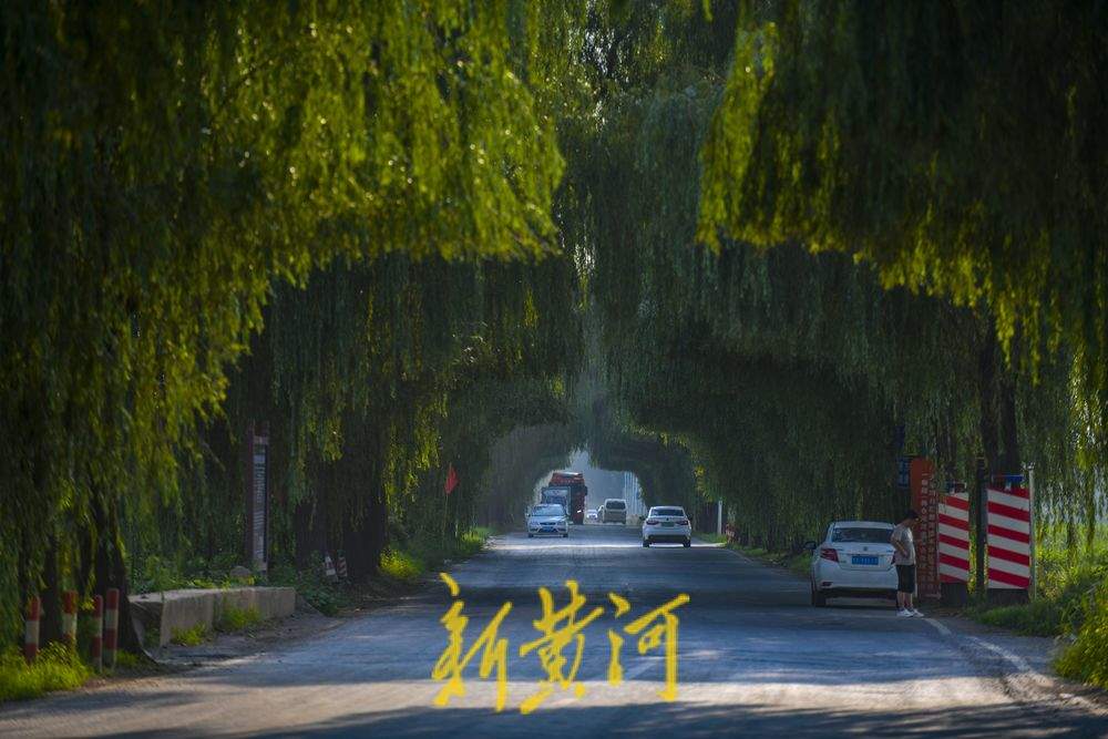 过往货车如剪刀 造就柳荫隧道