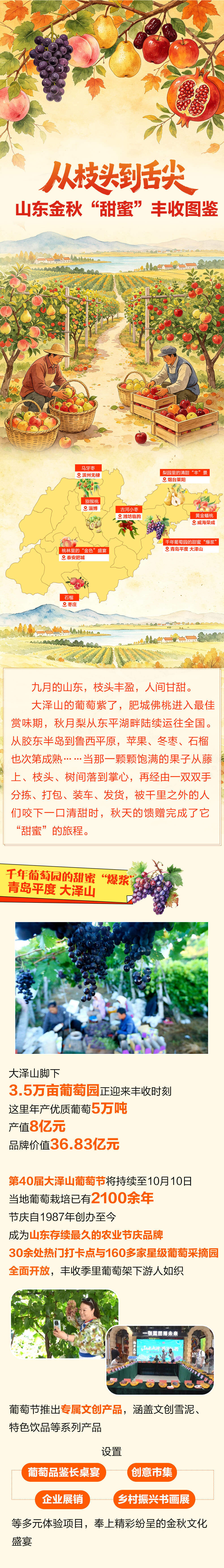 从枝头到舌尖 山东金秋“甜蜜”丰收图鉴