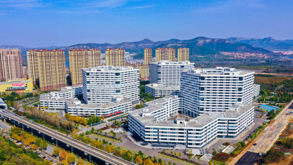 融媒·先锋｜“阳光雨露”滋润的创新谷，数百家企业长得“枝繁叶茂”——“谷”间晨曦