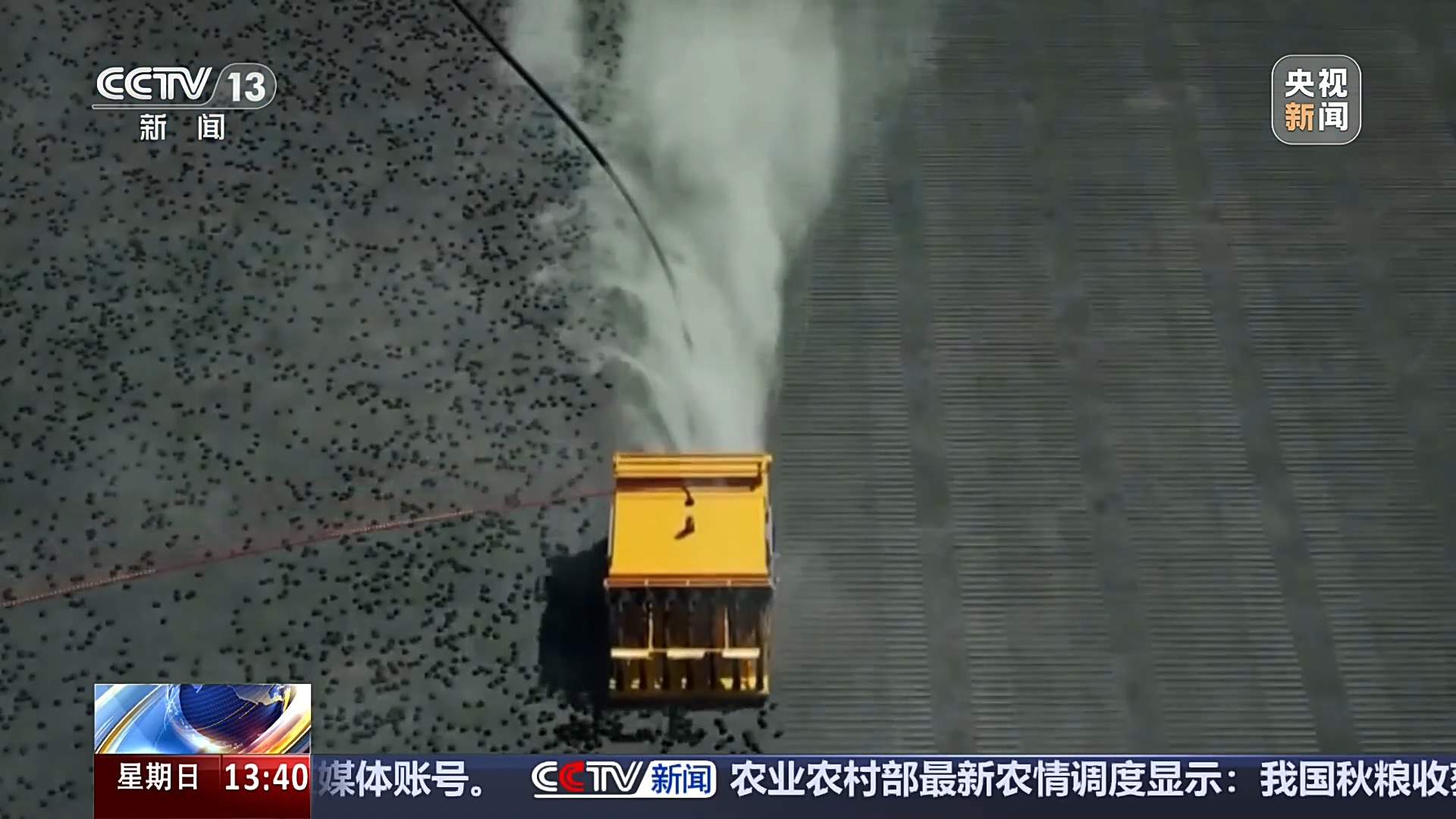 海洋产业加速跑，复合型人才成了“香饽饽”