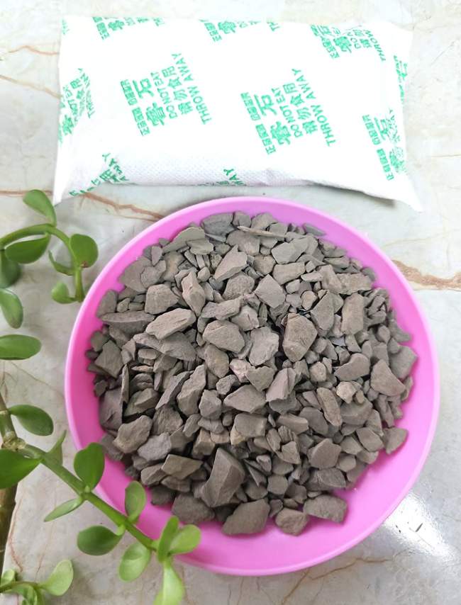 理性选购•2026光触媒植物喷剂推荐•教你根据户型挑选去味除甲醛产品