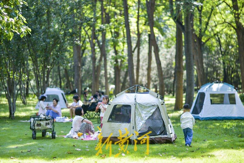 中秋迎来晴好凉爽天，泉城草地重现露营帐篷热