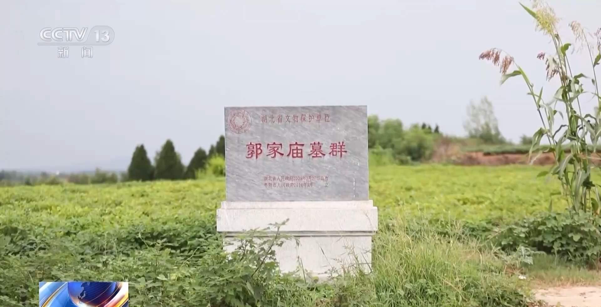 看小说学盗墓挖走20余件国宝 特大盗墓案细节曝光