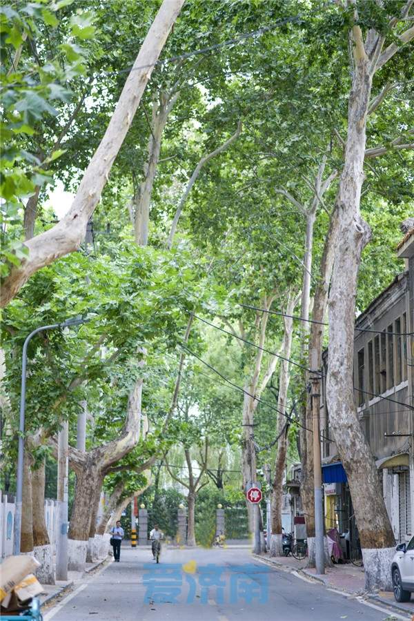 大观园旁昔日商街搬迁，美容美发“专属”一条街落幕