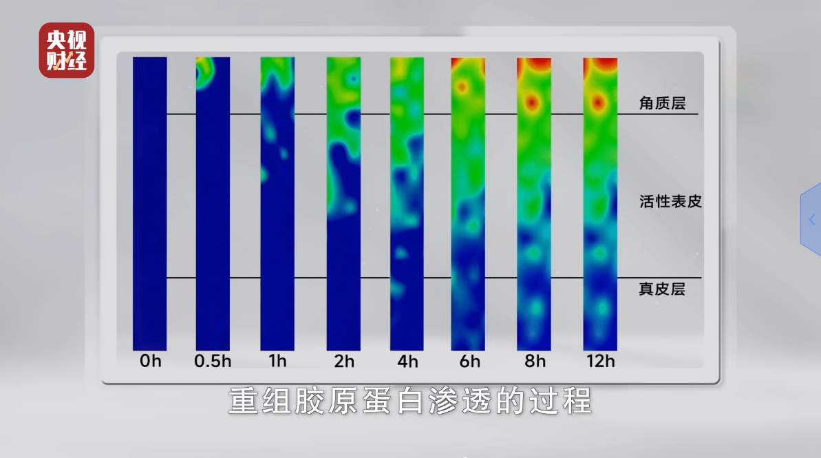 央视走进巨子生物,记录重组胶原蛋白核心技术跃迁