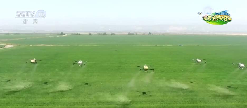 科技“组合拳”保障智慧大棚“四季如春” “菜园子”焕发现代农业新活力