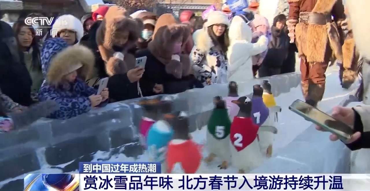 到中国过年成热潮 海南春节出入境客流将增24%